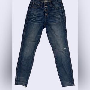 Madewell Indigo Skinny Jeans